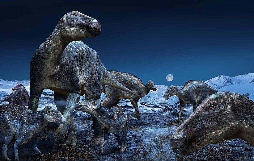 ساختار یکتای استخوان دایناسورها وزن سنگین آن ها را تحمل می نموده است