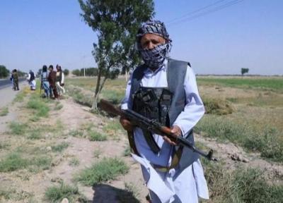 (ویدئو) شبه نظامیان شیر هرات آماده مقابله با طالبان