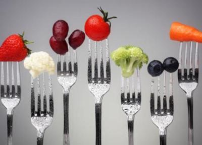 محققان اعلام کردند، پروتئین های غذاهای مختلف برای بدن مغذی تر است