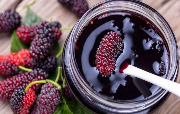طرز تهیه مربای توت سیاه با طعم عالی طرز تهیه مربای توت سیاه با طعم عالی
