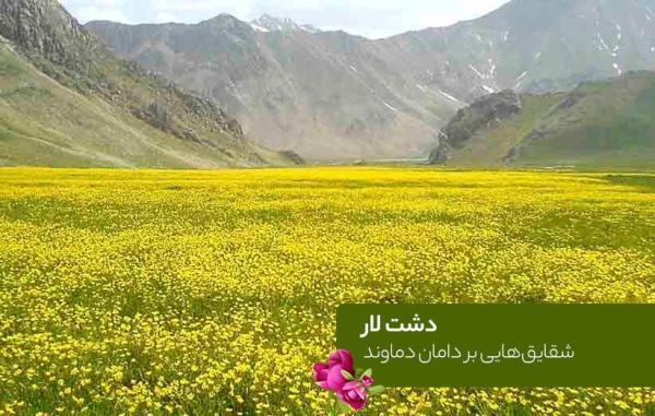 دشت لار؛ شقایق هایی بر دامان دماوند دشت لار؛ شقایق هایی بر دامان دماوند